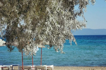 beach