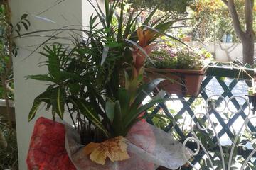 Photo 25