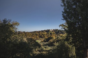 Land view from property