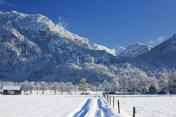 Photo 26