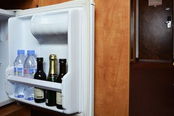 Mini-refrigerator