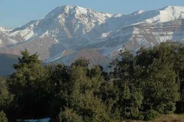 Mountain view