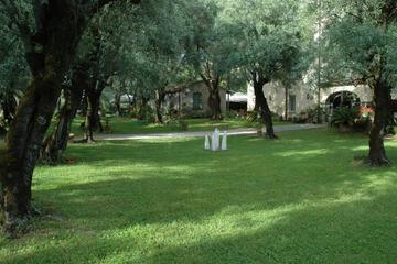 Photo 62