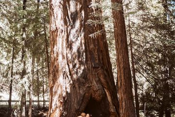 Outdoor wedding area