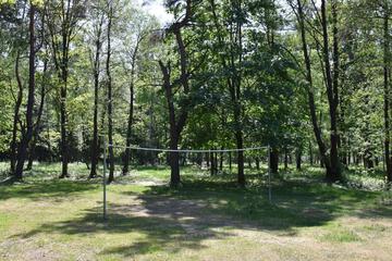 Photo 43