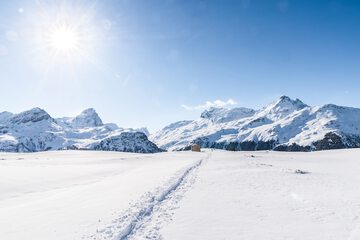 Skiing