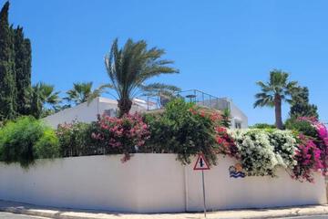 Photo 32