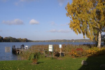 Dock