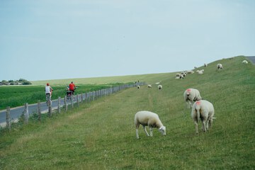 Bicycling