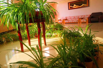 Hotel Interior or Public Areas