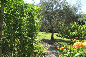 Photo 30