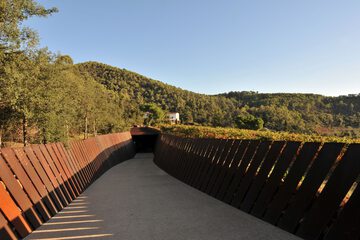 Ecotours