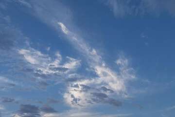 Property Grounds 25 of 27