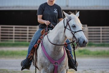 Horseback riding