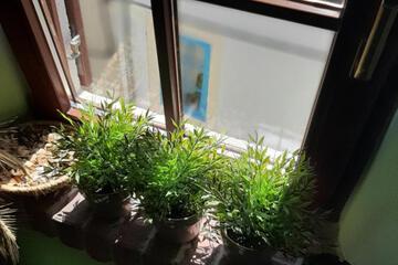 Photo 32