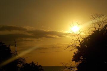 Photo 48