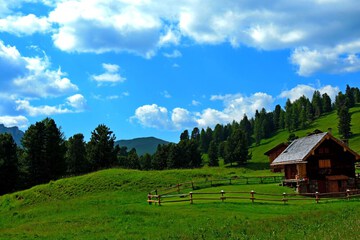 Ecotours