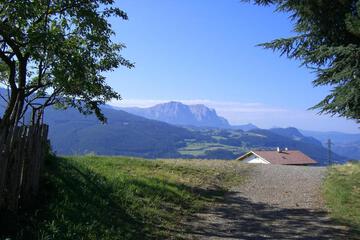 Photo 43