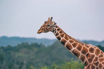 Ecotours