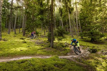 Bicycling