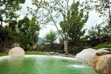 Natural pool