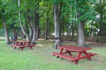 Photo 40