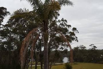 Land view from property