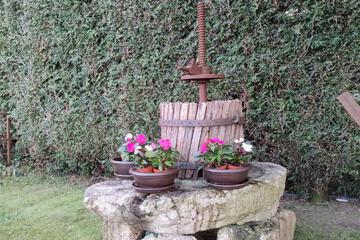 Photo 25