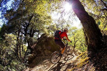 Bicycling