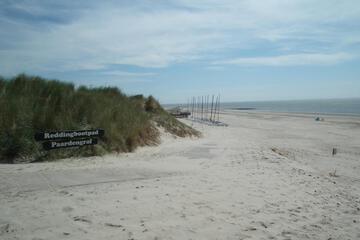 Photo 51