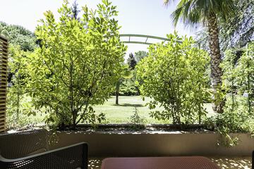 Garden view