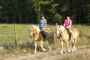 Horseback riding