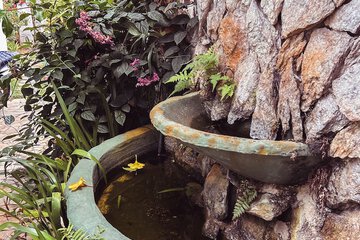 Fountain