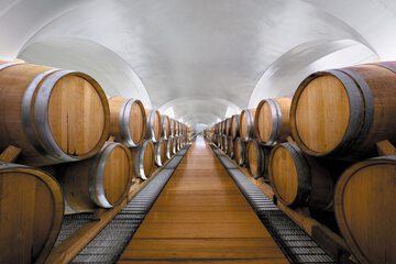 Winery