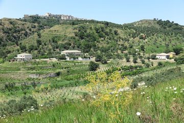Land view from property