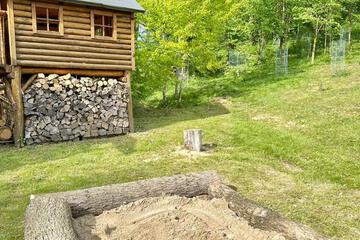 Photo 41