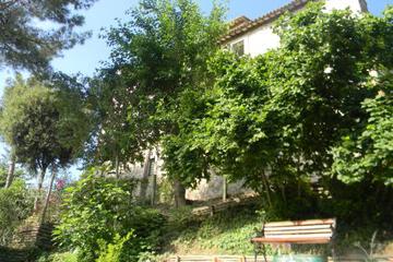 Photo 56