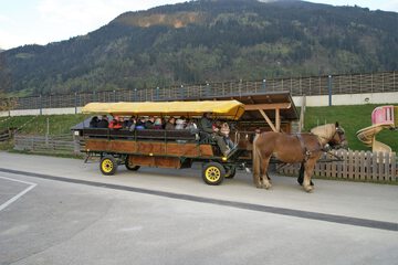 Children's activities