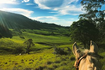 Land view from property