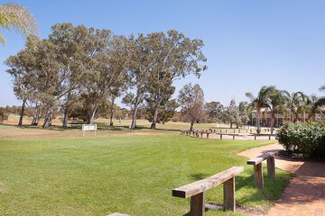 Golf view