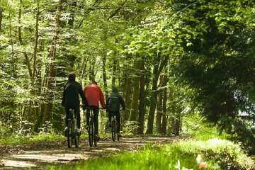 Bicycling