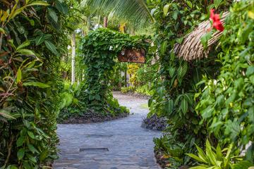 Garden view