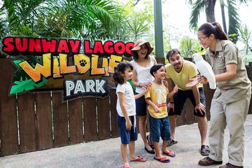 Children's activities