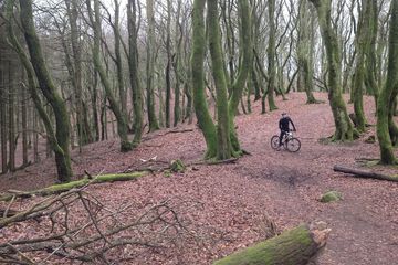 Bicycling
