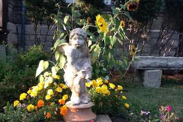 Hotel Exterior 85 of 87