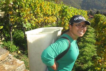 Photo 44