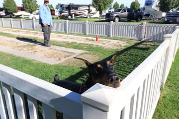 Pet-friendly amenities