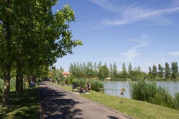 Photo 50