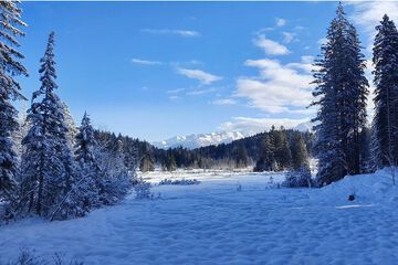 Land view from property
