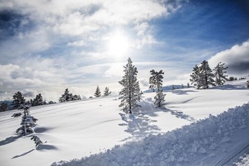 Snow and ski sports